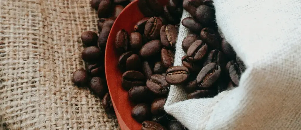 Close-up of organic coffee beans highlighting their rich textures and complex flavors.