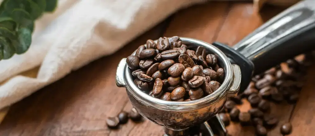 Organic, ethically sourced coffee beans, emphasizing sustainability and ethical sourcing practices.