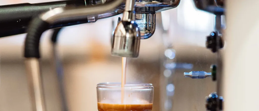 DeLonghi EC155 Review - Is It Still Worth Buying? ☕ 66 Delonghi EC155 espresso machine on kitchen counter