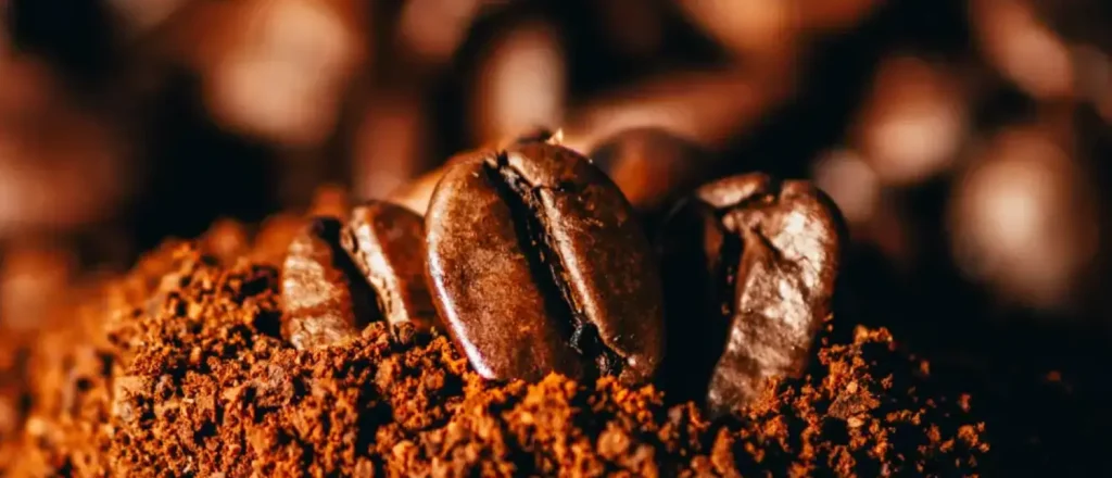 Lavazza Crema e Gusto vs Regular Coffee: Worth It? 104 Lavazza Crema e Gusto coffee beans with rich dark roast texture for bold Italian-style espresso