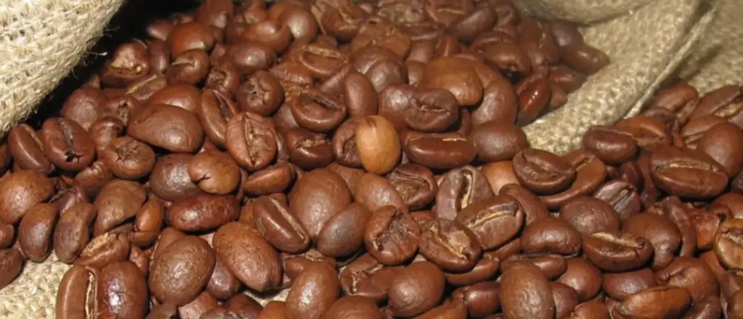 Lavazza Dek Review: Is It the Best Decaf Coffee? 2 Lavazza Dek Coffee Beans in a Hessian Bag