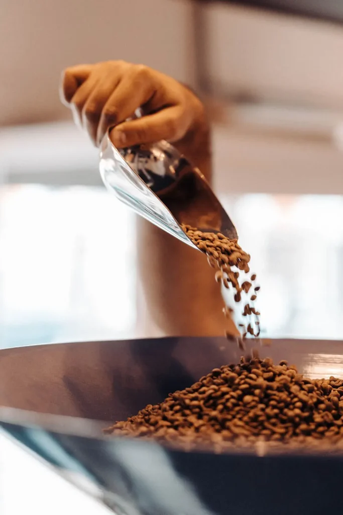 A person scooping fresh espresso beans, highlighting the variety and richness of different coffee beans for brewing espresso.