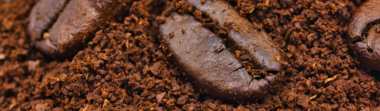 Top Beans for Milk Drinks ☕🥛 2 Close-up of coffee beans being ground in a burr grinder