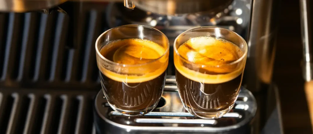 Gaggia Classic vs Breville Bambino: Which Espresso Machine Is Better? 141 Gaggia Classic Vs Breville Bambino Espresso Machines a look at the differences