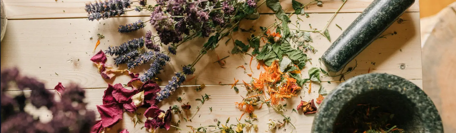 ๐ฟ Top Adaptogens for Stress & Focus: Natural Brain & Body Boost 2 Assorted adaptogens including ashwagandha, rhodiola, lionโs mane, and holy basil displayed on a wooden table