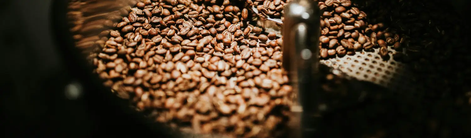 β Best Coffee Grinders for Home Baristas (2026 Guide) 2 Close-up of coffee beans in a burr grinder for fresh home brewing