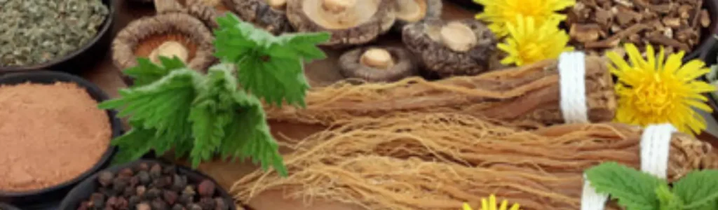 ☕ Functional Coffees: Mushroom, Adaptogens & Nootropics 92 Cup of functional coffee surrounded by mushrooms, herbs, and adaptogenic roots on a neutral beige background — promoting calm energy and focus.