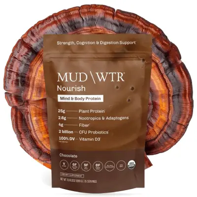 Mud\Wtr Mushroom Coffee Alternative – Low-Caffeine Energy Drink Mug of Mud\Wtr Mushroom Coffee Alternative with packaging and cinnamon sticks