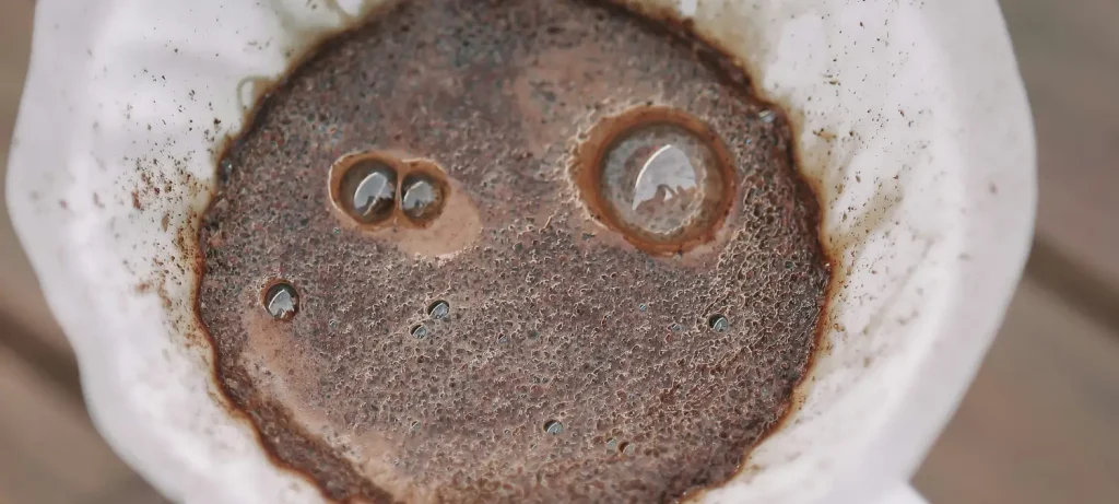 How to Master the Perfect Bloom in Pour-Over Brewing☕ 29 Close up of pour over coffee bloom showing foamy bubbles as hot water saturates fresh coffee grounds