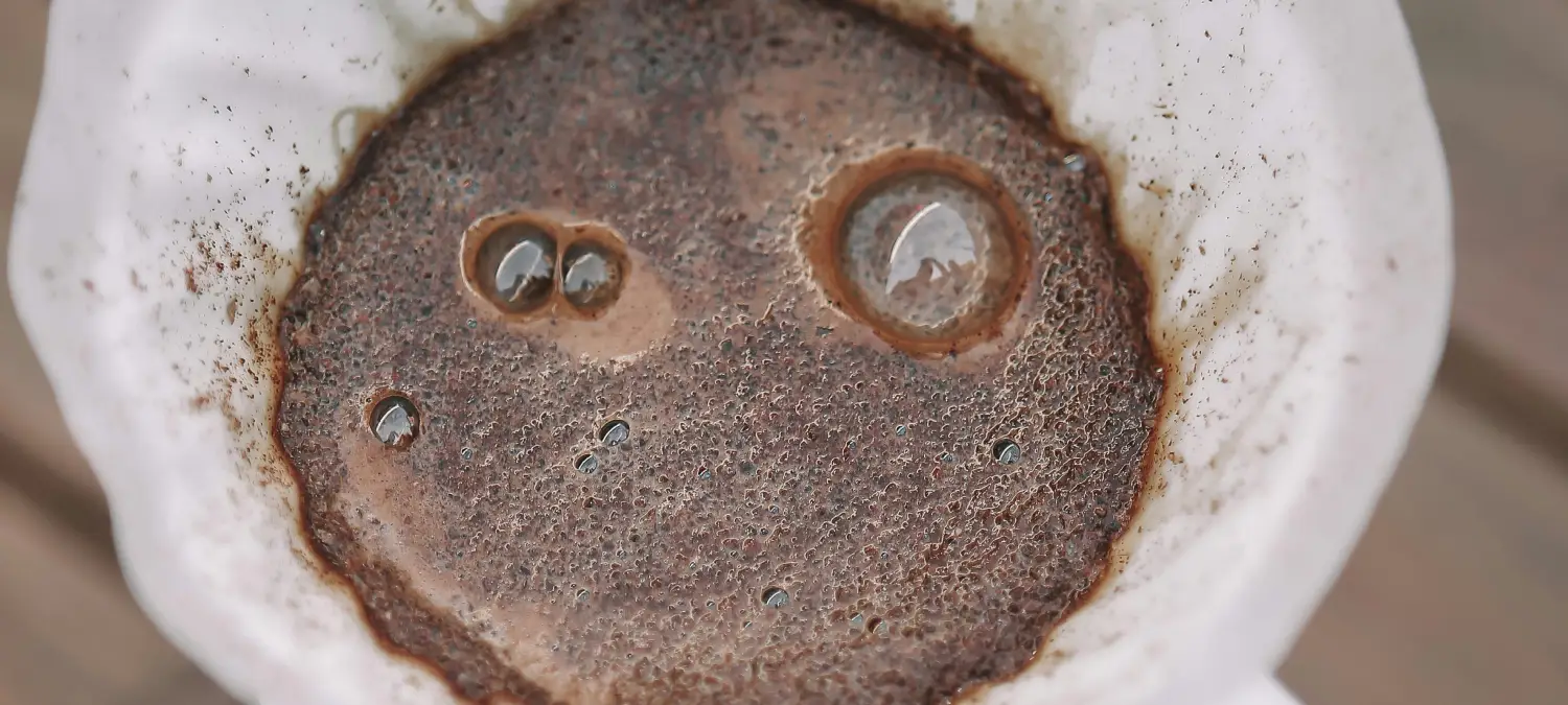How to Master the Perfect Bloom in Pour-Over Brewing☕ 2 Close up of pour over coffee bloom showing foamy bubbles as hot water saturates fresh coffee grounds