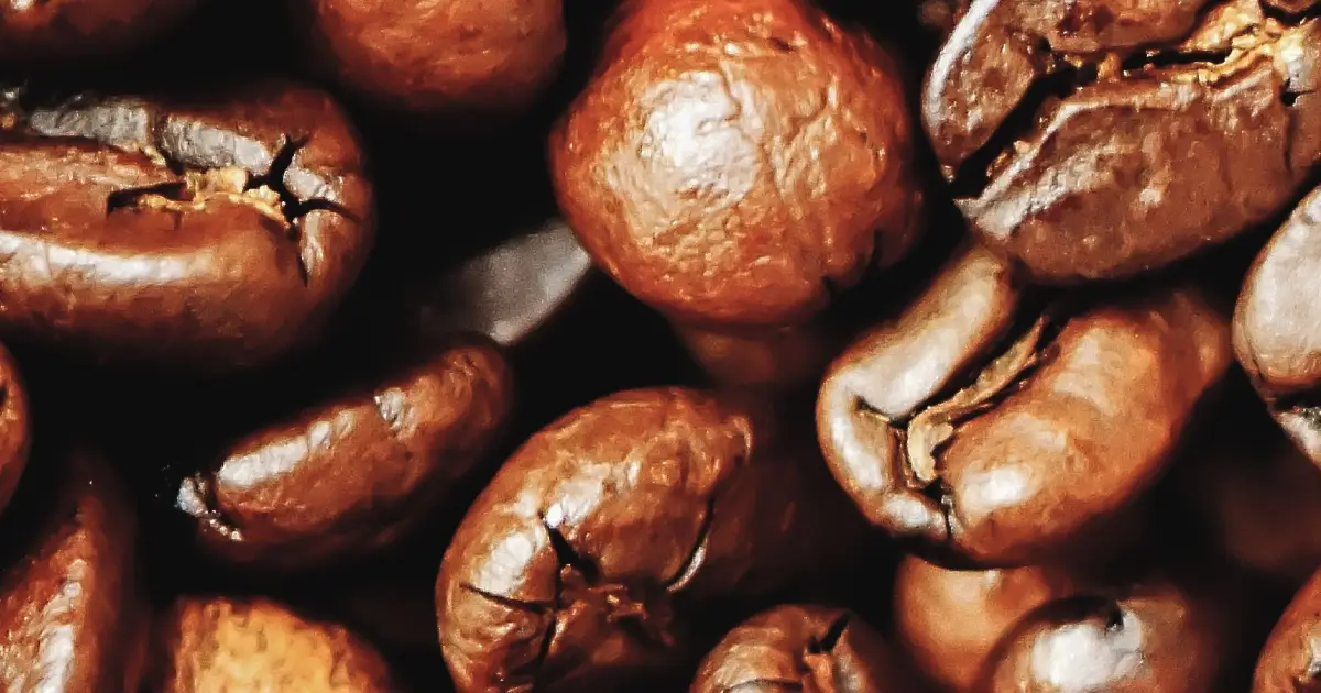 Why Fresh Coffee Beans Matter More Than You Think 2 Freshly roasted coffee beans beside an espresso machine and grinder on a modern kitchen bench.