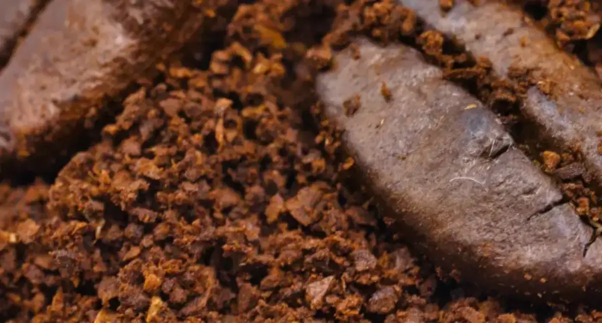 Single Origin vs Blend – What’s the 1 Big Difference? 🌱 2 Single Origin vs Blend Coffee Beans. Close up of coffee beans being grounded